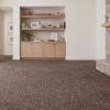 Nostalgia Carpet Tile 50 x 50cm Brown for Commercial and Office Flooring